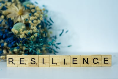 IM Reset: Emotional Resilience & Integration